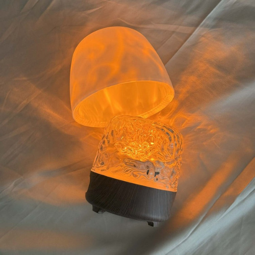 OceanLumie 🌛 🌊